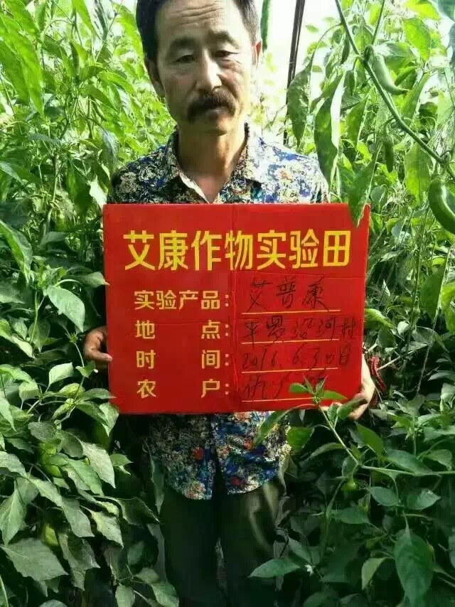 平罗县沿河村仇广红辣椒实验案例-艾普康